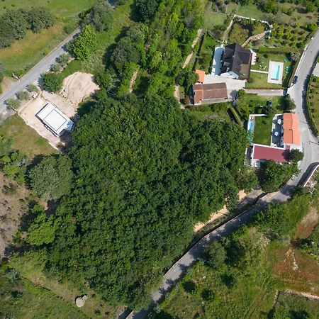 Casa Do Carvalhal - Quinta Do Soldado Villa Alquerubim Exterior photo